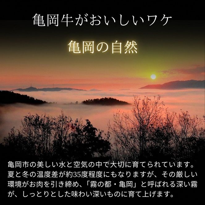 【ふるさと納税】亀岡牛 サーロインステーキ 4枚（800ｇ）☆祝！亀岡牛 2023年最優秀賞（農林水産大臣賞）受賞≪京都 丹波 冷蔵便 牛肉 送料無料≫ ふるさと納税牛肉【亀岡牛祭り】※北海道・沖縄・離島への配送不可