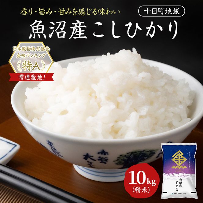 魚沼産こしひかり(十日町地域) 精米 10kg(5kg×2) 米 お米 コシヒカリ 十日町市