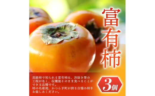 【先行予約】 道の駅くしがきの里セット 富有柿3個・温州みかん約30個の詰め合わせ こだわり農家厳選  【2026年11月初旬頃から2026年12月中旬頃順次発送】/ みかん 温州みかん 柿 富有柿 かき 詰め合わせ 果物詰め合わせ 果物 フルーツ おやつ【kgr022】