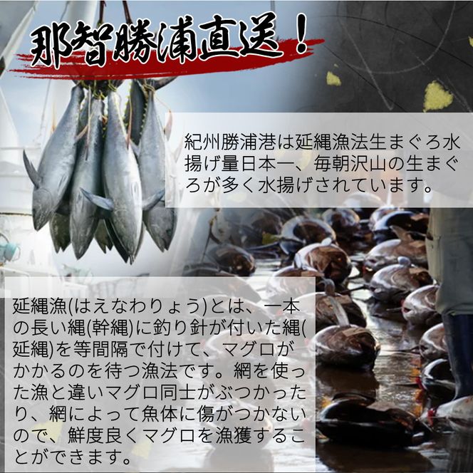 もちもち生まぐろ醤油漬け4P / マグロ 鮪  まぐろ 漬けマグロ 漬け 魚 海鮮 【uot808】