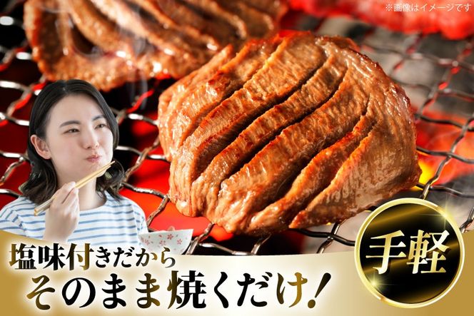 牛タン 厚切り牛タン 塩味 500g [亀山精肉店 宮城県 気仙沼市 20565156] 精肉 肉 牛肉 牛たん 牛タン ぎゅうたん タン タン塩 厚切り 味付き 冷凍 焼肉 焼き肉 BBQ アウトドア【CF01】