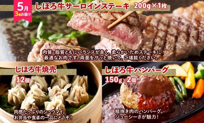 定期便 北海道 全5回 しほろ牛 サーロイン 牛丼 ハンバーグ コンビーフ ソーセージ ジンギスカン 肉まん 焼売 ポテト メンチ コロッケ アイス  送料無料 十勝 士幌町 【L905】