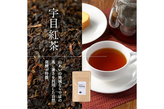 釜炒り 宇目茶・宇目の紅茶セット (合計240g・釜炒り茶120g×2種、紅茶40g×1種) お茶 緑茶 茶 茶葉 釜炒り茶 紅茶 日本茶 大分県産 セット 詰め合わせ 大分県 佐伯市 【FE01】【宇目茶】
