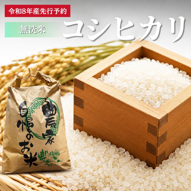 【先行予約】無洗米令和8年産 コシヒカリ 5kg 【 お米 米 コメ 精米 南丹市 】 令和8年 5キロ 新米 新米26
