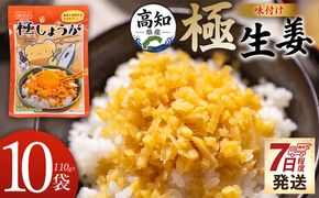しょうが 味付け 極しょうが 110g×10袋 計1100g 【7日程度で発送】 早い スピード発送 7日程度 早く 届く 生姜 ジンジャー ご飯のお供 おかず トッピング アレンジ 料理 手軽 便利 刻み生姜 国産 特産品 しょうが ショウガ 高知県産 坂田信夫商店 高知県 香南市 常温 Xnb-0014