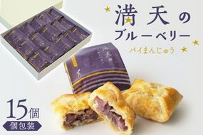 お菓子 個包装 満天のブルーベリー 15個入 [谷口製菓 石川県 宝達志水町 38601294] 菓子 焼菓子 菓子折り 和菓子 パイ スイーツ おかし おやつ 常温 ブルーベリー