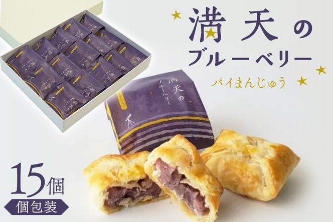 お菓子 個包装 満天のブルーベリー 15個入 [谷口製菓 石川県 宝達志水町 38601294] 菓子 焼菓子 菓子折り 和菓子 パイ スイーツ おかし おやつ 常温 ブルーベリー