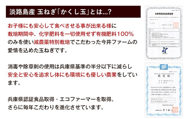今井ファームのたまねぎ擦りおろしドレッシング 250ml×4本入り ドレッシング