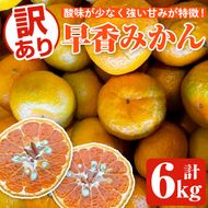 訳あり早香みかん(計6kg) 国産 フルーツ 果物 蜜柑 柑橘 みかん 訳あり【松永青果】akn053-39