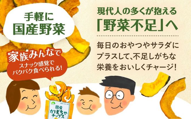 かぼちゃチップス 30g×5袋 野菜 チップス スナック 菓子 愛西市 / 清水食品株式会社[AEAJ007]