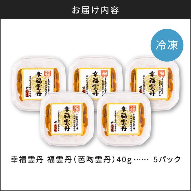 福雲丹40g(バフン 北海道産)5pc 北海道産 バフンウニ 無添加 ミョウバン不使用 生うに熟成製法 熨斗対応_Y038-0160