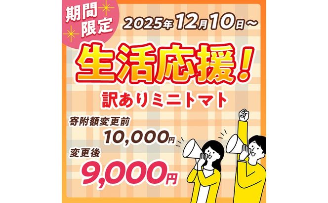 訳あり 規格外 数量限定 門川町産 ミニトマト(計3kg)  訳あり 規格外 数量限定 門川町産 ミニトマト 期間限定 生活応援 とまと 野菜 ミックス 生 旬野菜 冷蔵 小鈴 キャロルパッション プレミアムルビー アイコ 【いけとも農園】【X-10】