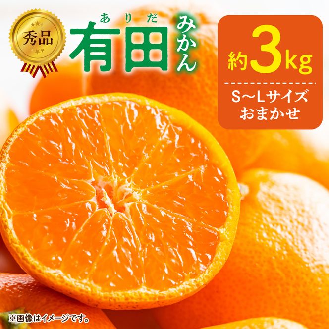 DZ6009n_12_【2026年12月発送】秀品 有田みかん 和歌山県産 S～Lサイズ 大きさお任せ 約3kg