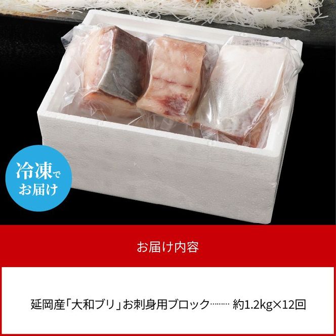 【大和海商】大和ブリの切り身たっぷりセット 12ヶ月定期便 N072-YH053