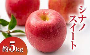 【2026年10月発送】 シナノスイート約5kg 13～18玉 りんご 長野県産