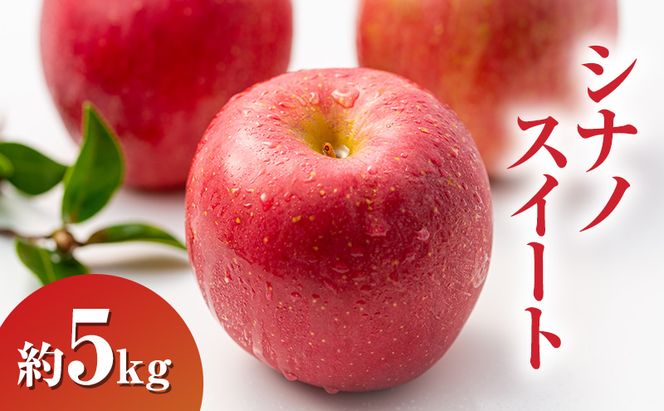 【2026年10月発送】 シナノスイート約5kg 13～18玉 りんご 長野県産