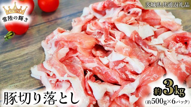 【 常陸の輝き 】 豚 切り落とし 500g×6パック （ 約3kg ） (茨城県共通返礼品) 国産 国内産 豚肉 ポーク 豚こま 小間切れ カレー 焼きそば 炒め物 贈り物 ギフト [ET07-NT]