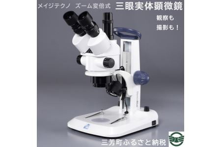 yʌOFzCWeNm Y[ϔ{ Ǒ 2025N2{菇\ FAA-196