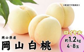 桃 2026年 先行予約 岡山 白桃 ロイヤル 4～8玉 1.2kg 岡山県産 JAおかやまのもも モモ 岡山県産 国産 フルーツ 果物 ギフト
