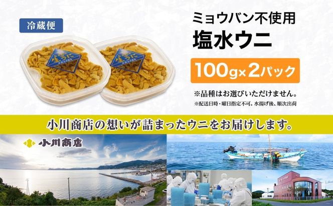 ミョウバン不使用 塩水 ウニ100g 2パック 7月下旬頃までお届け  [水揚げ後 順次出荷]  キタムラサキウニ うに ウニ 雲丹 ムラサキウニ 魚貝 魚介 海鮮 海産 小川商店 送料無料 北海道 洞爺湖