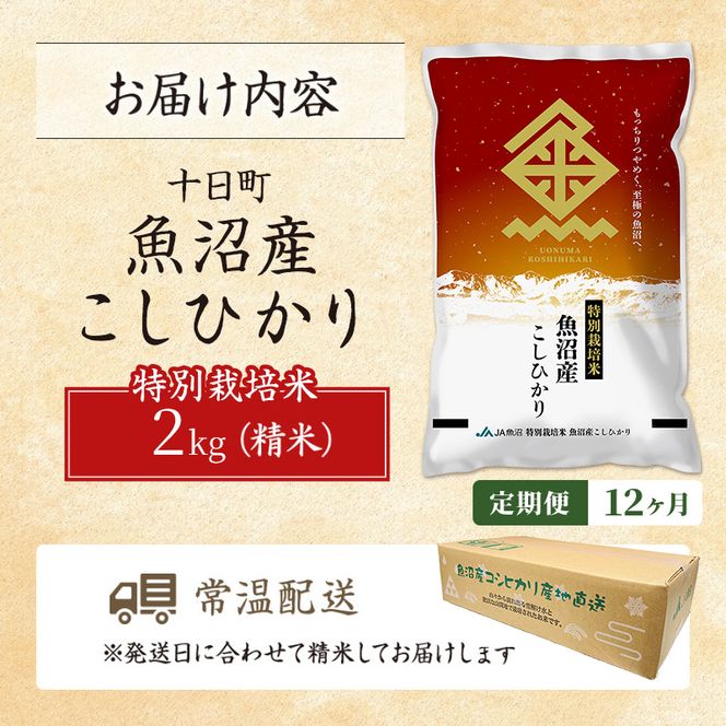 【12ヶ月定期便】特別栽培米 魚沼産こしひかり(十日町地域) 精米 2kg 米 お米 コシヒカリ 定期 十日町市