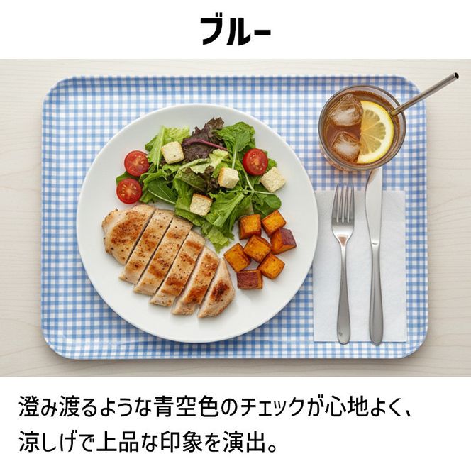 TATSU-CRAFT マグネットトレー SS 21.5cm チェック BL ブルー すべり止め付き ［Tk1050］ 303446_DA90799VC01