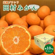 DN6015_【2026年先行予約】高級ブランド 田村みかん 秀品 10kg (S～Lサイズおまかせ） 【ミカン 蜜柑 柑橘 温州みかん 有田みかん】