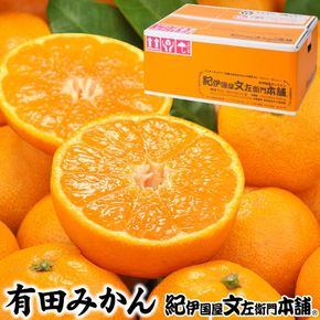 ブランド有田みかん【秀品5kg】サイズおまかせ ｜ 産地直送 薄皮 甘い 美味しい 和歌山県産/紀伊国屋文左衛門本舗