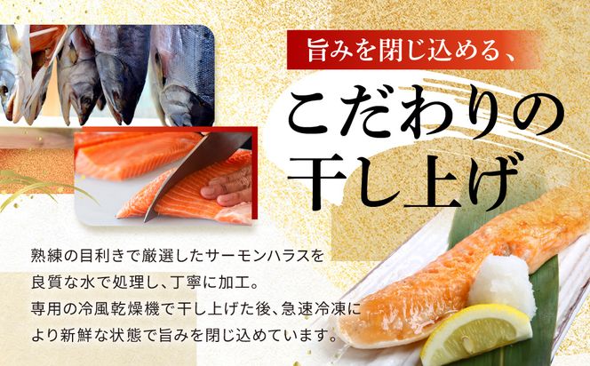 サーモン ハラス 3kg (200ｇ×15p) アトランティックサーモン 鮭 鮭はらす 干物 ひもの 大洗町 焼魚 焼き魚 魚 魚介 海鮮 海産物 冷凍 工場直送 おかず おつまみ