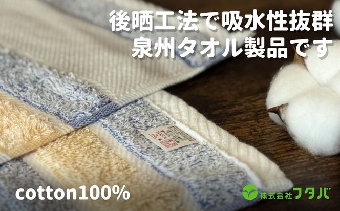 G3216 フェイスタオル6枚 サニーボーダー（シトラスブルー）