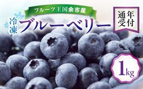 フルーツ王国余市産 冷凍ブルーベリー 1㎏ 【ニトリ観光果樹園】_Y074-0149
