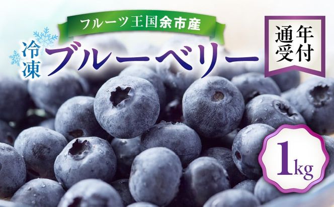 フルーツ王国余市産 冷凍ブルーベリー 1㎏ 【ニトリ観光果樹園】_Y074-0149