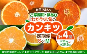 ご家庭用・訳あり わかやま旬のカンキツ定期便【S】【M】 全4回 合計11kg または 合計18.5kg 有田マルシェ《発送月固定・全4回出荷》和歌山県 日高町 フルーツ 果物 柑橘 ご家庭用 訳あり 有田みかん 清見オレンジ カラマンダリン 完熟 青切---wsh_armstei_24_28000_91134y4---