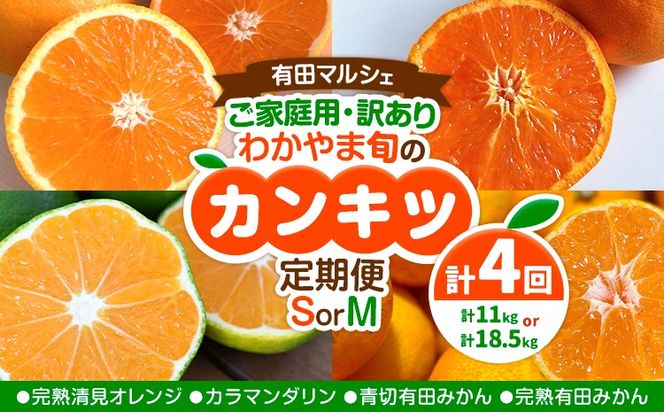 ご家庭用・訳あり わかやま旬のカンキツ定期便【S】【M】 全4回 合計11kg または 合計18.5kg 有田マルシェ《発送月固定・全4回出荷》和歌山県 日高町 フルーツ 果物 柑橘 ご家庭用 訳あり 有田みかん 清見オレンジ カラマンダリン 完熟 青切---wsh_armstei_24_28000_91134y4---