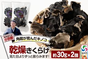 乾燥きくらげ 約30g×2袋 [きくらげ 木耳 キクラゲ 乾燥 手のひらサイズ 秋田県 仙北市 角館]|02_sne-030201