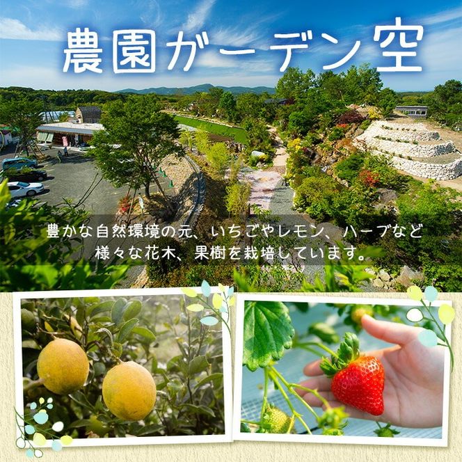 ＼テレビで紹介されました！／農園ガーデン空 楽園のジェラートセット(90ml×6個) ジェラート アイス いちご いちごミルク レモン ブルーベリー 抹茶 デザート スイーツ おやつ 夏 鹿児島 バラエティ バレンタイン ホワイトデー【農園ガーデン空】akn026-12