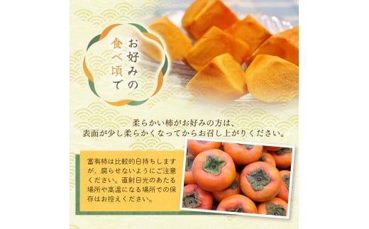 先行予約 富有柿 赤秀品大玉6個～8個入 こだわり農家厳選【2026年10月末から11月末頃順次発送】 / 柿 フルーツ 果物 かき 和歌山 かつらぎ 農家直送 贈答【kgr043】