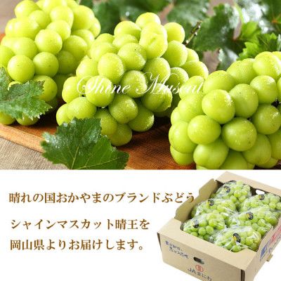 【2026年7月上旬より発送】岡山県産 シャインマスカット 晴王 4kg(5房～10房) ぶどう 葡萄 ブドウ フルーツ 果物