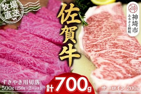 佐賀牛 サーロインステーキ200g×1枚計200g すきやき用切落250g×2パック計500g【佐賀牛 サーロイン ステーキ すきやき 切落し 高級部位 赤身肉 霜降り 小分け】(H122126)