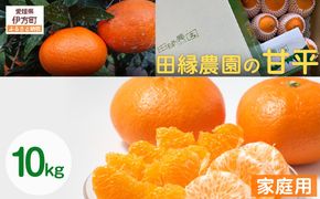 【先行予約】【家庭用】岬まどんな 5kg ※離島への配送不可 （2026年11月25日より順次発送） IKTA033
