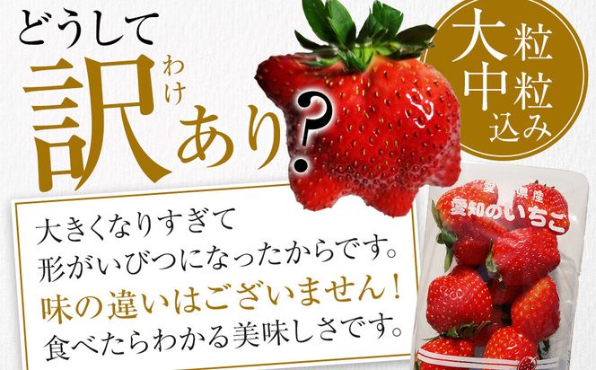【訳あり・数量限定】とちおとめ　いちご　約1kg（約250g×4パック）＜2～3月発送＞ 232238_DU002