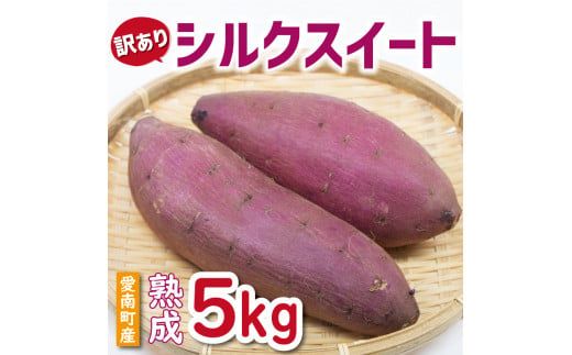 訳あり 熟成 シルクスイート 5kg サイズ混合 サツマイモ 焼き芋 干し芋 丸干し 冷凍焼き芋 冷やし焼き芋 やきいも 蜜芋 ほしいも スイートポテト フライドポテト いも天 サイズミックス  甘い ねっとり しっとり ほくほく 生芋 新芋 芋 いも 甘藷 スイーツ おかず さつまいも 国産 人気 糖度 産地直送 農家直送 数量限定 7000円 愛媛県 愛南町 ミッチーのおみかん畑