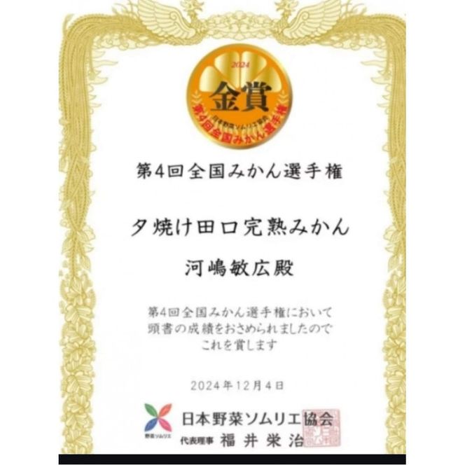 ［先行予約］有田みかん  秀品 5kg　木成り完熟［贈答用］大ちゃんの畑農園 	CA10