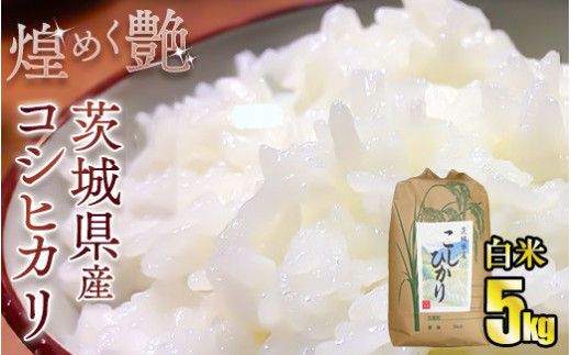 煌めく艶 令和6年茨城県産コシヒカリ5kg【白米】◇