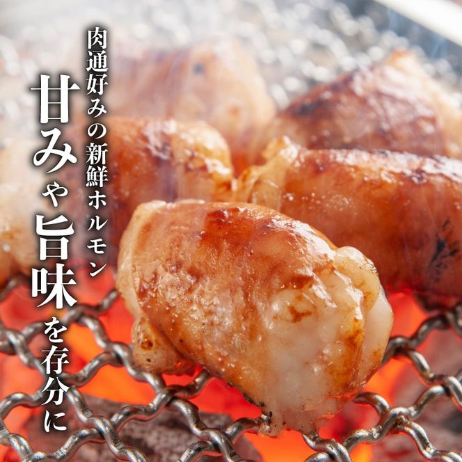 牛もつ（ホルモン）食べ尽くし！オールスターセット　K002-008