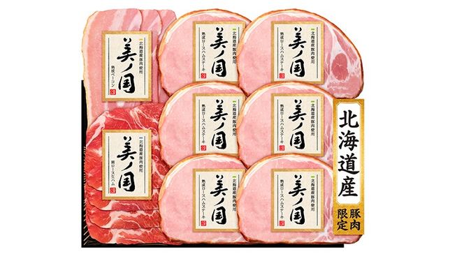 日本ハム 美ノ国 ギフトセットB 肉 にく 贈答 ギフト 詰め合わせ ハム  生ハム ロース ステーキ ベーコン [AA075ci]