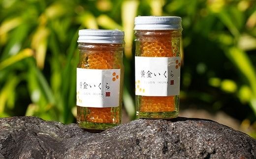 【幻の珍味】「黄金いくら」（ヤマメの卵醤油漬け）（１本）と串ヤマメ（２本入り×２パック）の親子セット　 いくら イクラ 魚卵 小分け 数量限定 旬 人気 贈答 美味しい ヤマメ 鱒 冷凍 お取り寄せ