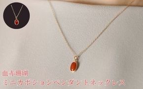 珊瑚 血赤珊瑚 ミニカボション ペンダント ネックレス K10イエローゴールド 天然サンゴ 一点物 アクセサリー 厄除け お守り クリスマス バレンタイン 誕生日プレゼント 記念日 ホワイトデー ジュエリー 大人可愛い ギフト さんご サンゴ 高知県室戸市