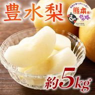 豊水梨 約5kg（6～18玉）【梨 なし 果物 フルーツ デザート 食後 熊本県産】※配送不可：離島