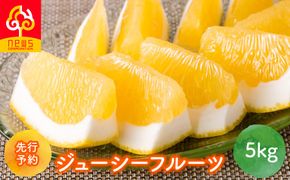 【先行予約】ジューシーフルーツ5kg（2027年5月中旬より順次発送） IKTF038